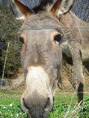 route pasqua 2006 057.jpg